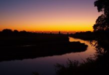 Railway bridge at night