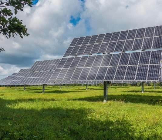 Solar panels mounted in fields