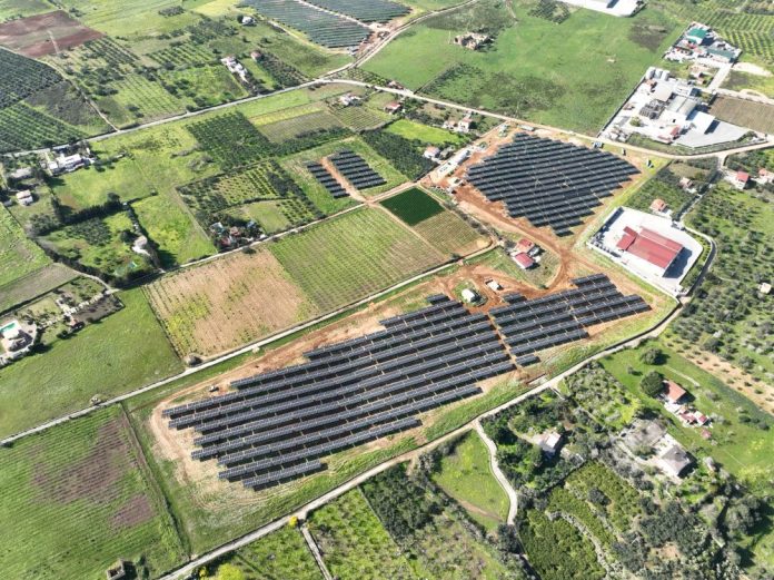 Bosco (solar), Sicily