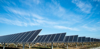 Global coal use continues to rise despite massive growth in renewables