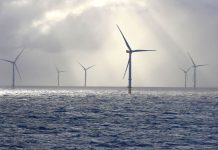 Nature-inclusive project to deploy artificial reef structures at scale in the North Sea