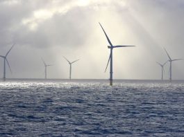 Nature-inclusive project to deploy artificial reef structures at scale in the North Sea