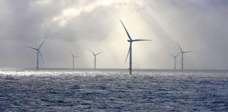 Nature-inclusive project to deploy artificial reef structures at scale in the North Sea